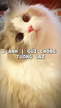 Gửi Chồng Tương Lai