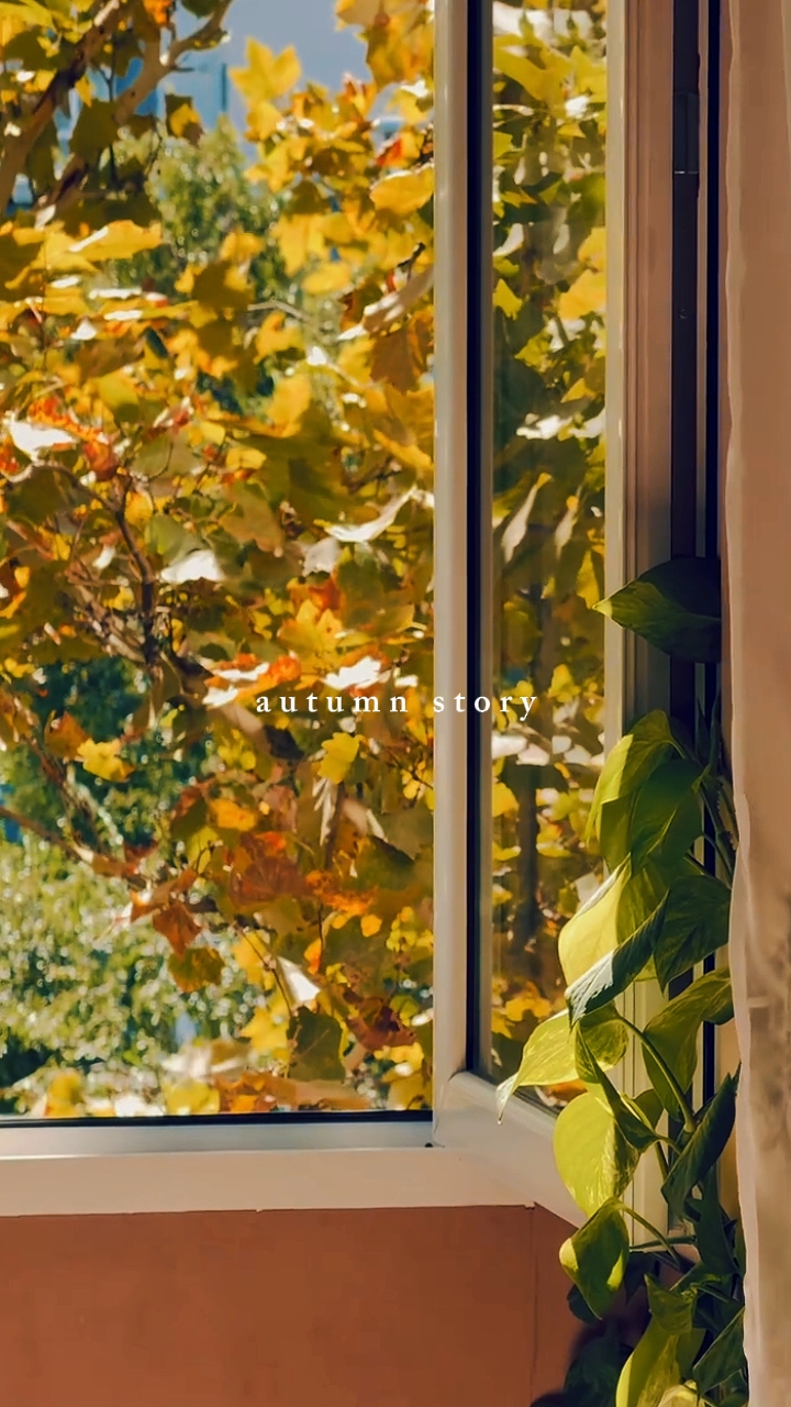 autumn story