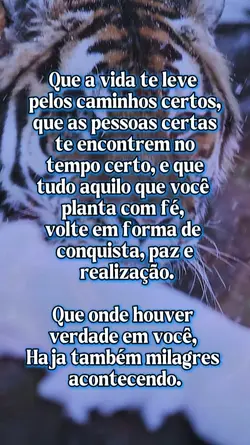 reflexão do dia