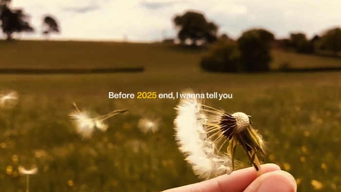 Fin 2025