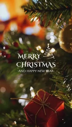 Christmas & New Year