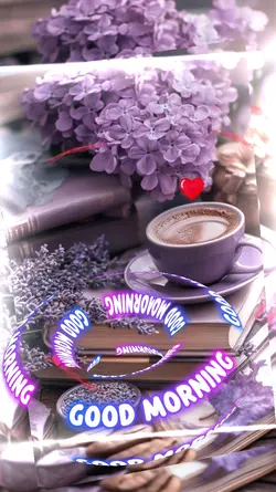 Good Morning