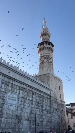 كواهُ عِشقُ الشامْ..