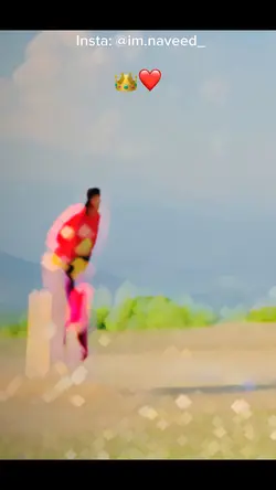 New cricket 🏏 6 edit