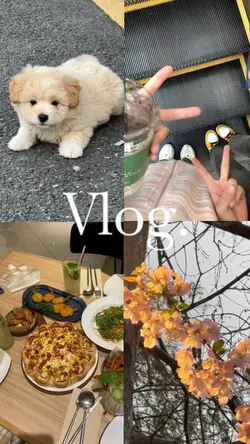日常vlog碎片