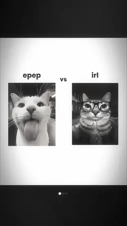 epep vs irl 🤓