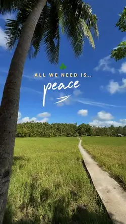 All we need is..