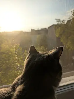 Ich hab dich lieb