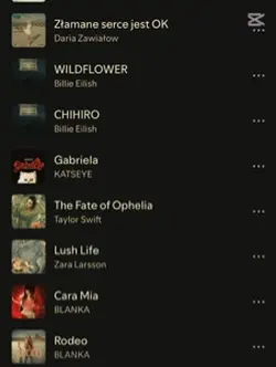 Spotify list
