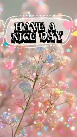 Have a nice day