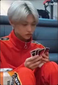 skz free funny fanca