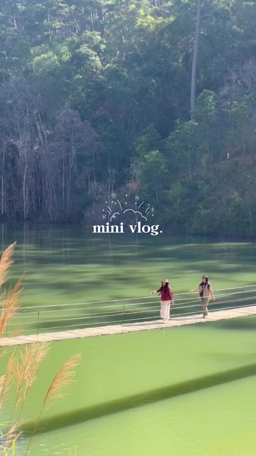 mini vlog 17 vid