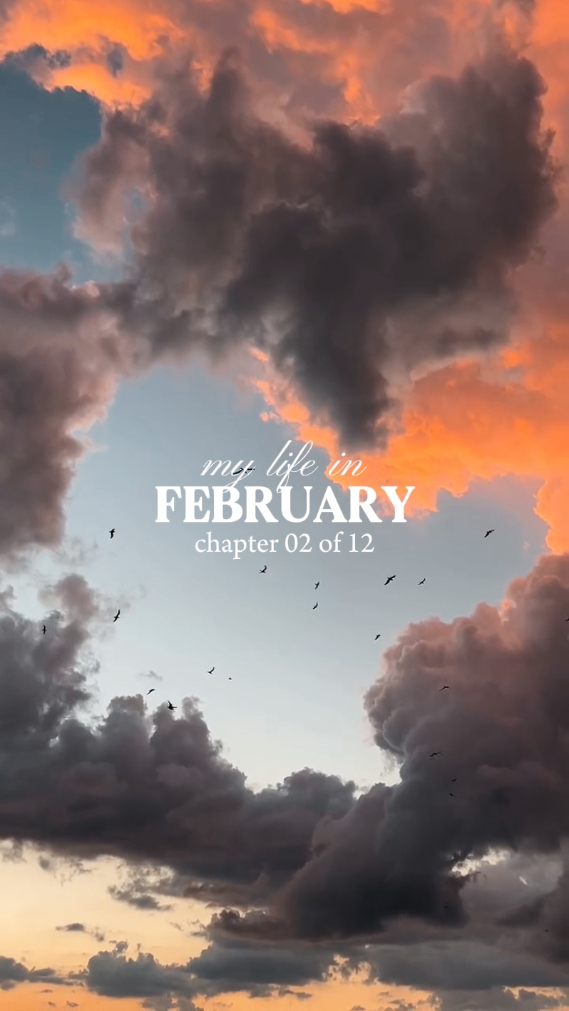 Volcado de febrero de 2026