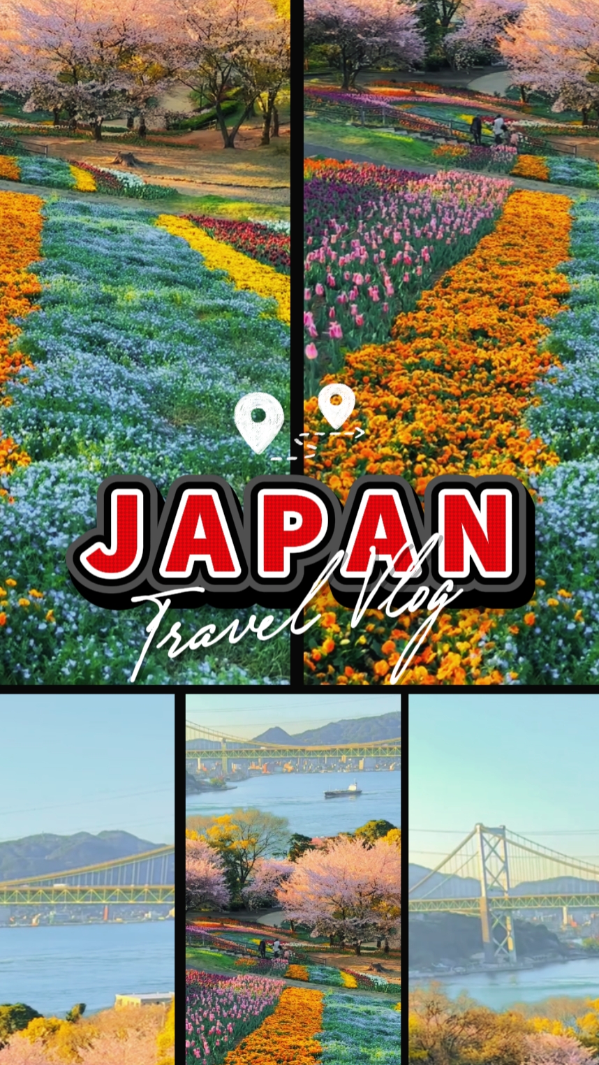 Japan Travel Vlog 4K