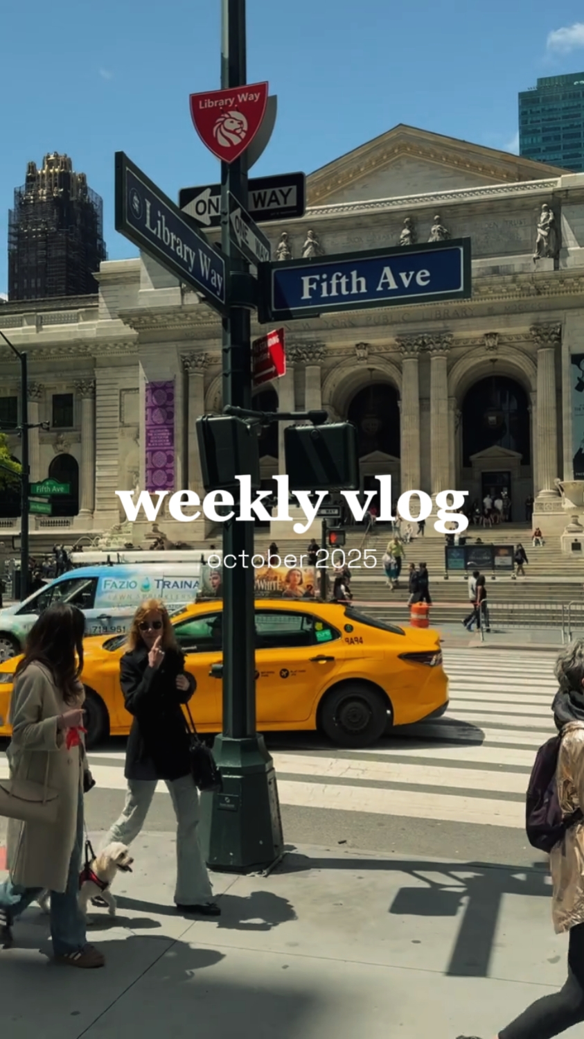 Weekly Vlog Templates - Pippit
