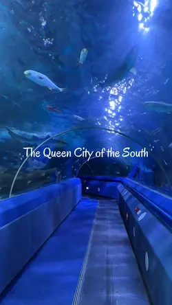 Cebu