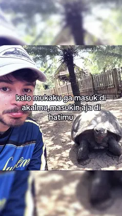 VERSI NO MIRROR