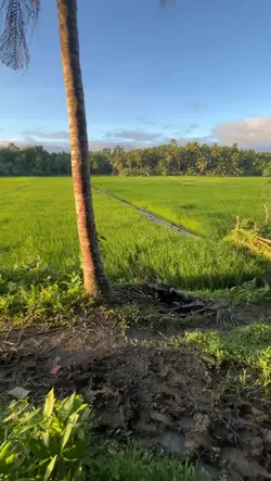 lagu sunda