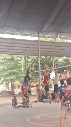 volly Mulyo basuki