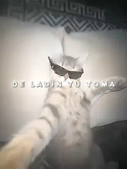 oi