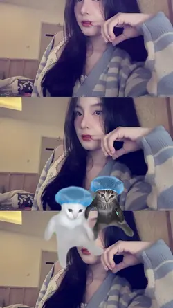 joged kucing' 