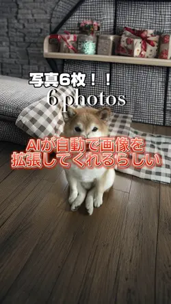6 photos