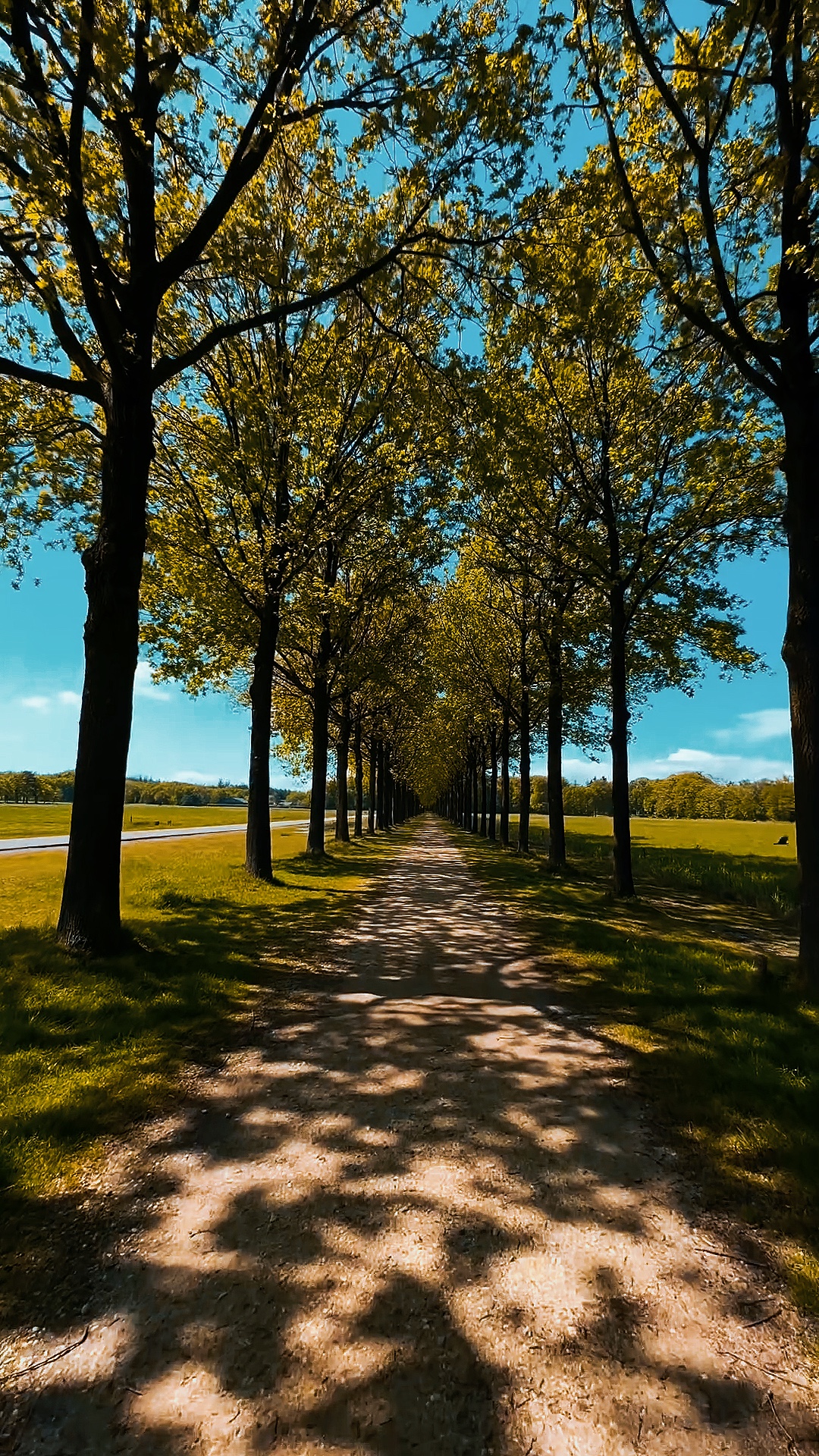 smooth slow walking 