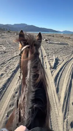 Beach riding😍