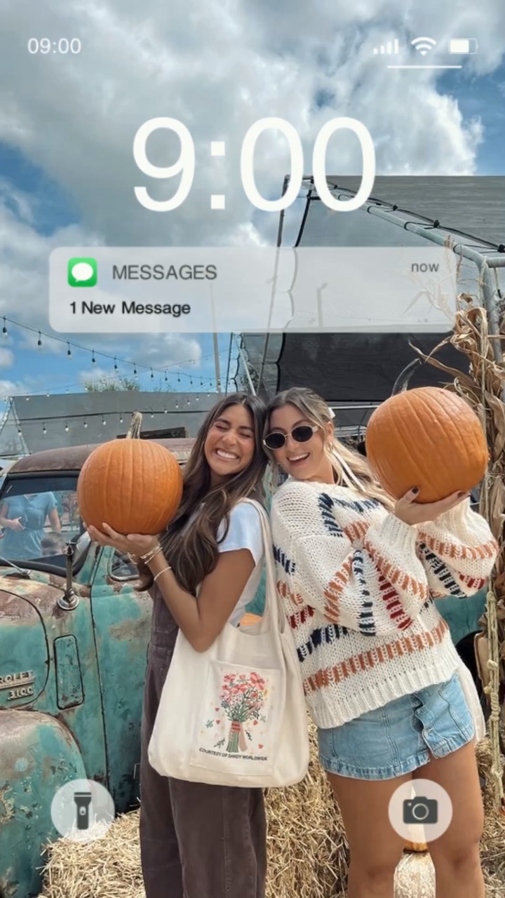 Amigos De Calabaza 