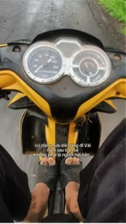 cứ dầm mưa dãi nắng