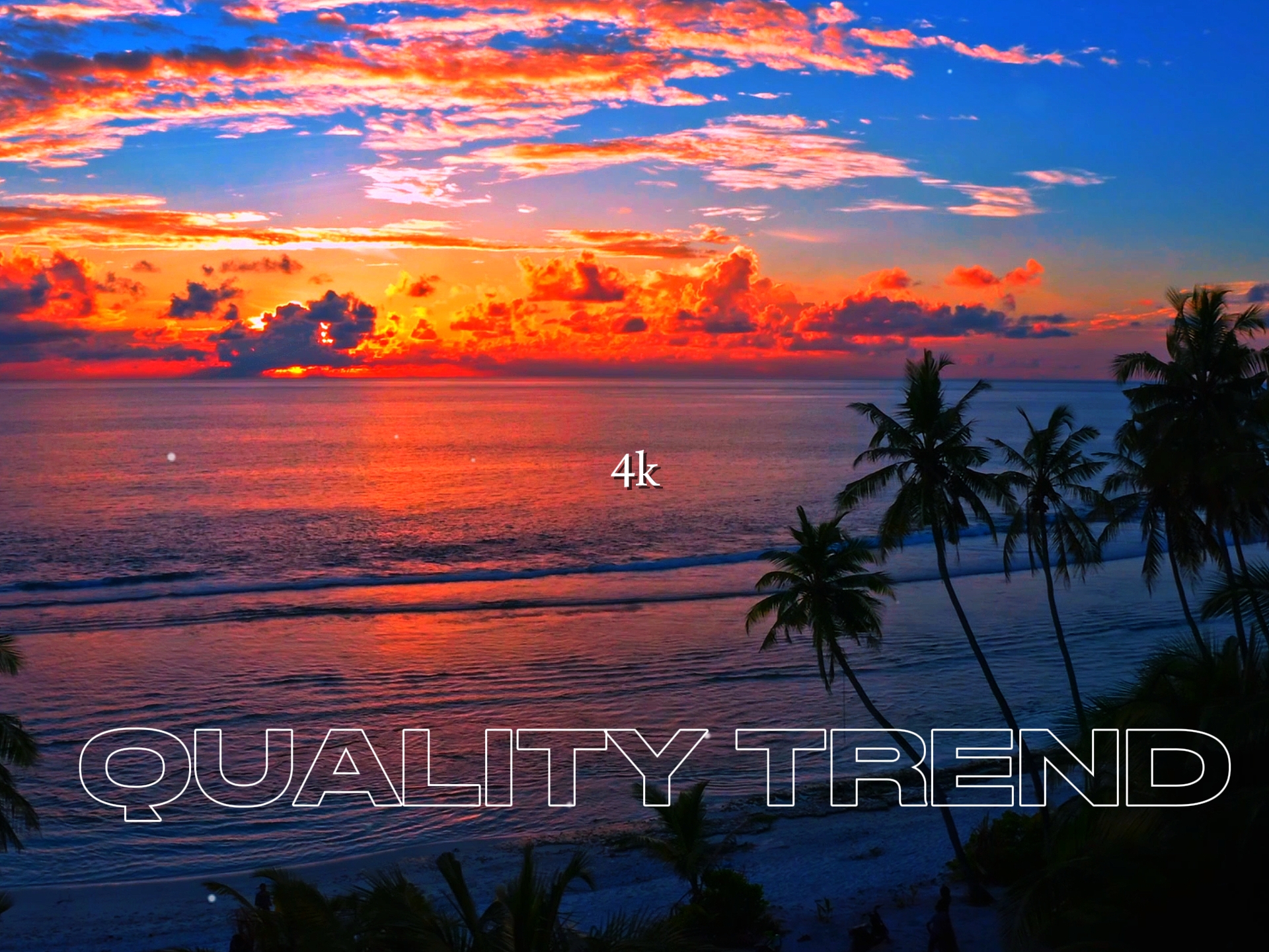 44p VS 4k | | Tendance