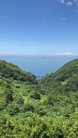 夏の記憶