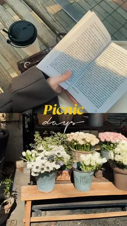 picnic days