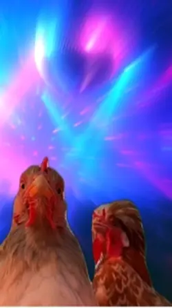 Chicken Dance