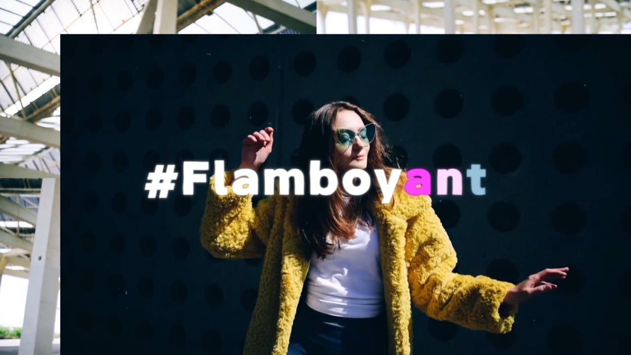 Fashion Intro
