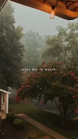 rainy day in march