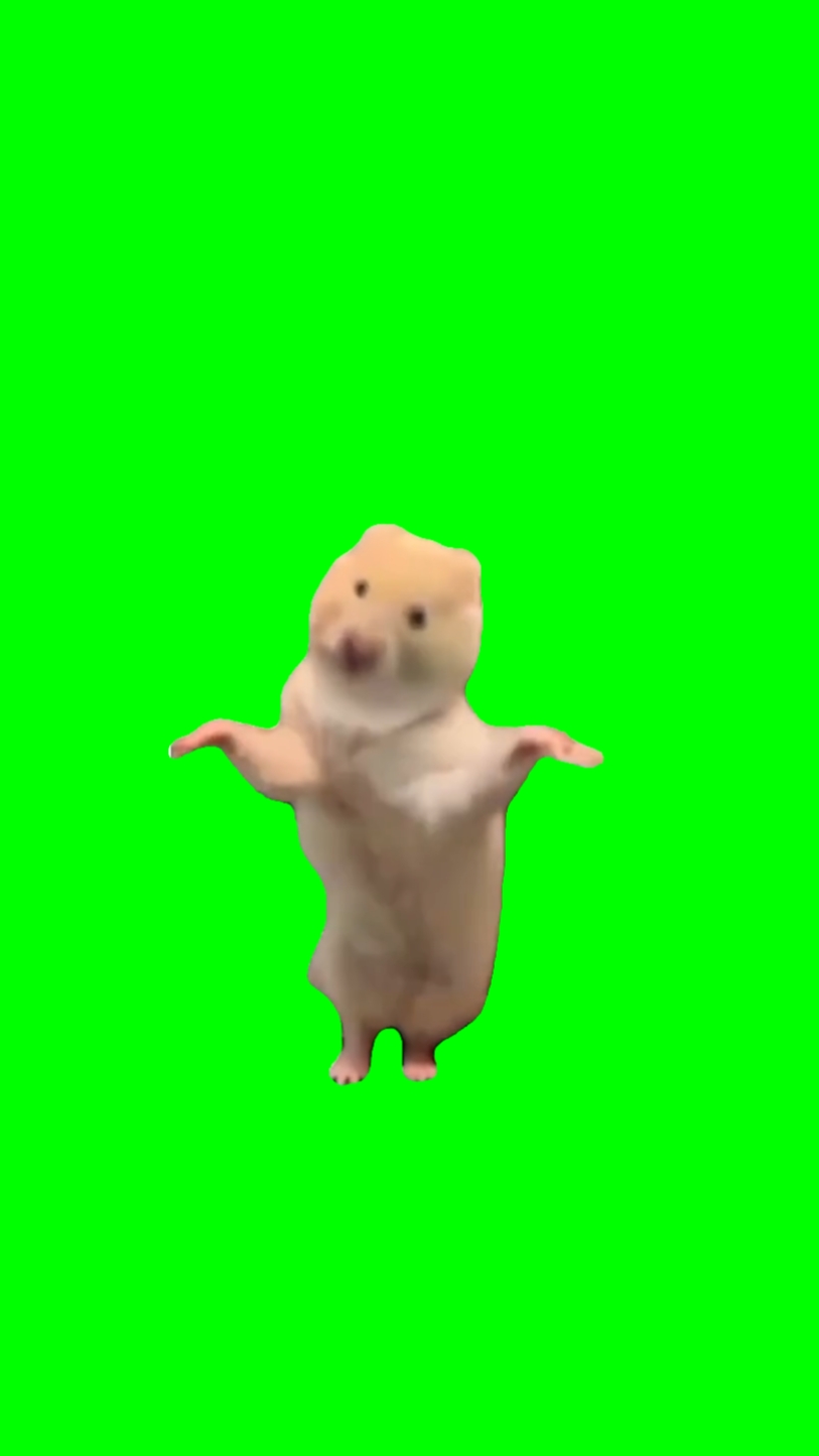 춤추는 동물