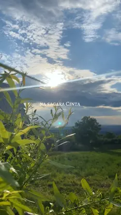 amparan rasa