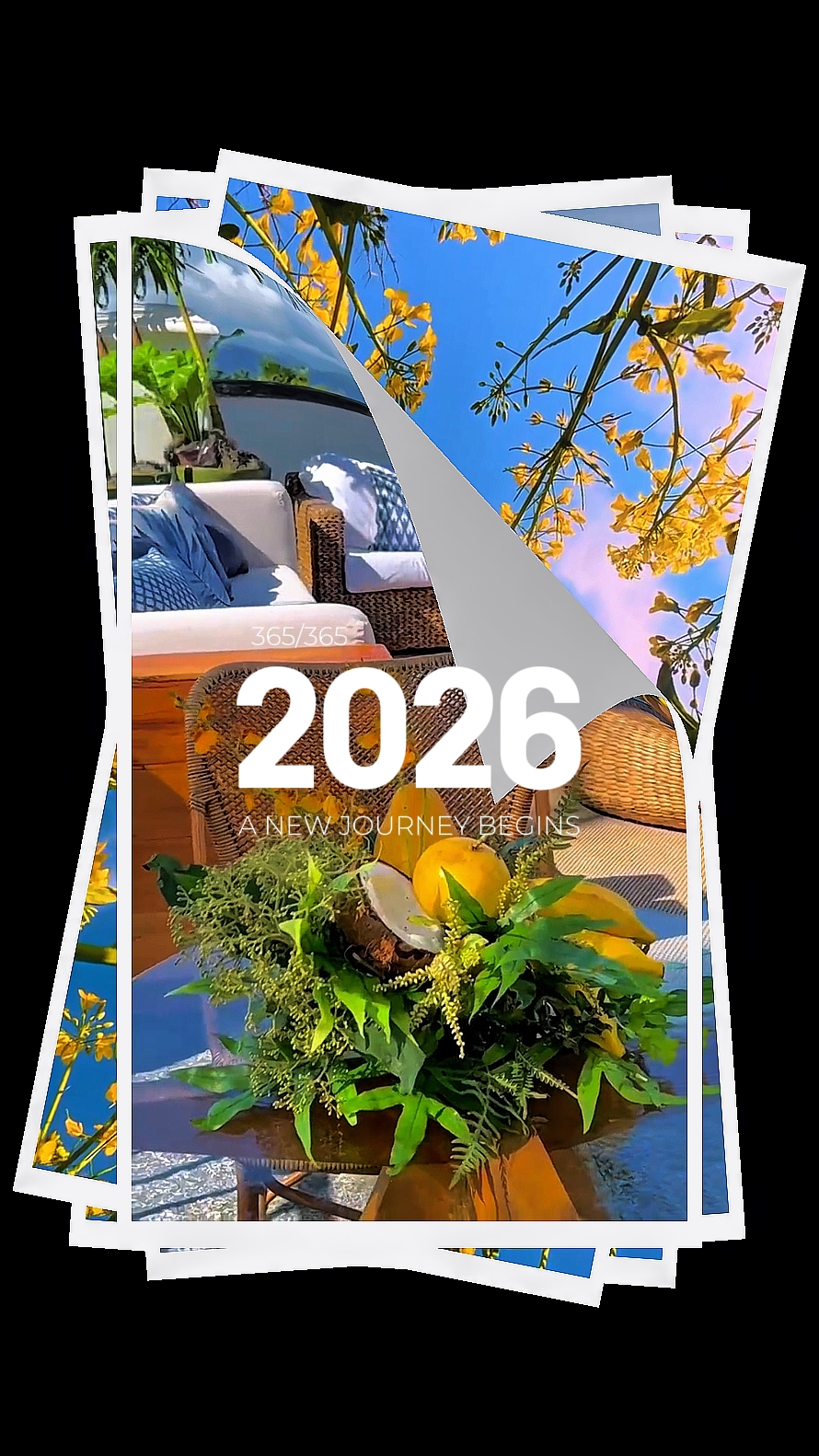 Bienvenido 2026