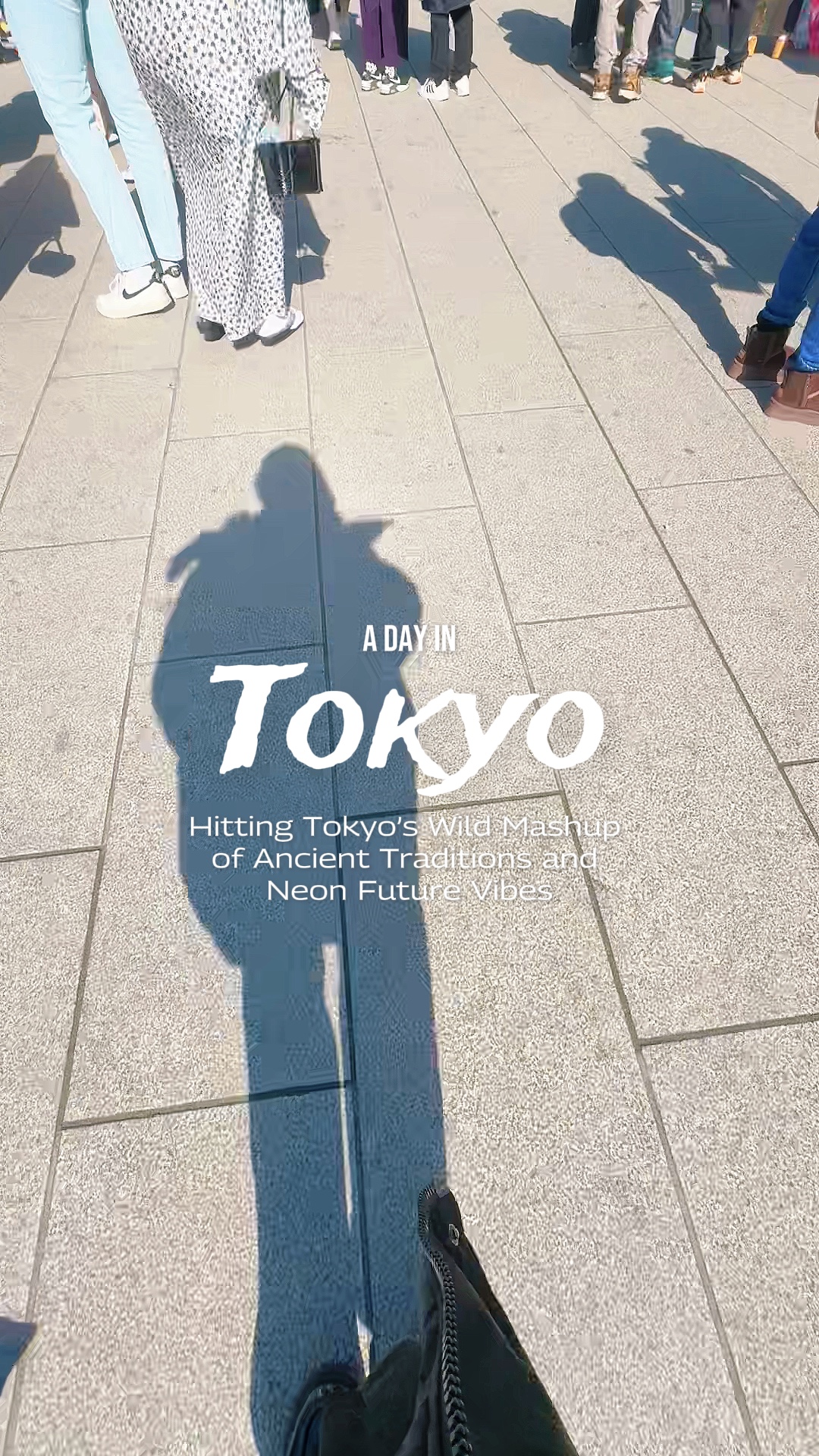 Vlog de Montagem Hikari