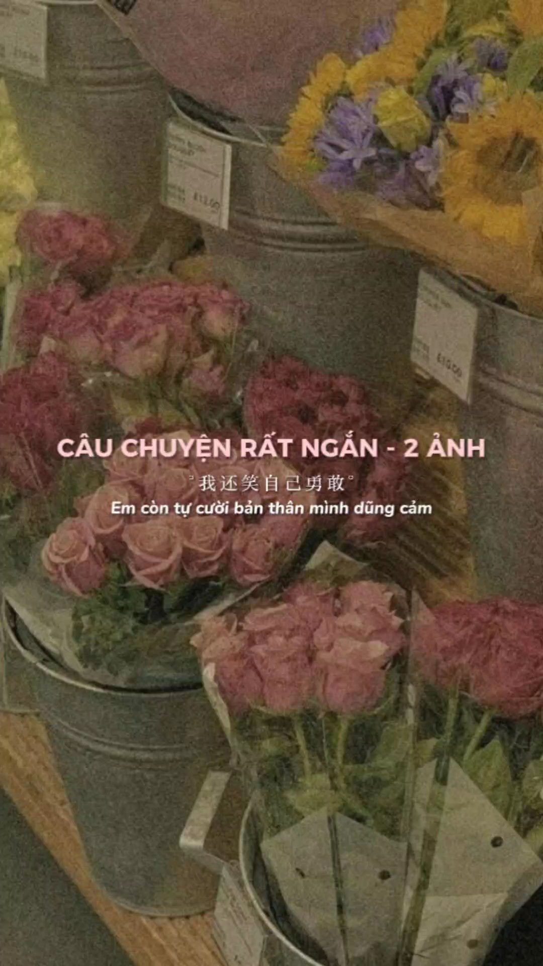 Nhạc Trung 2 ảnh