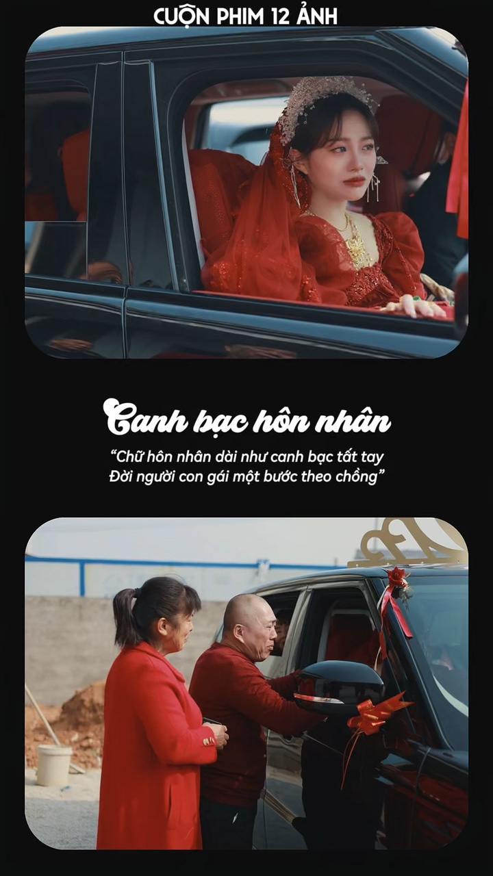 Canh bạc hôn nhân🕊️
