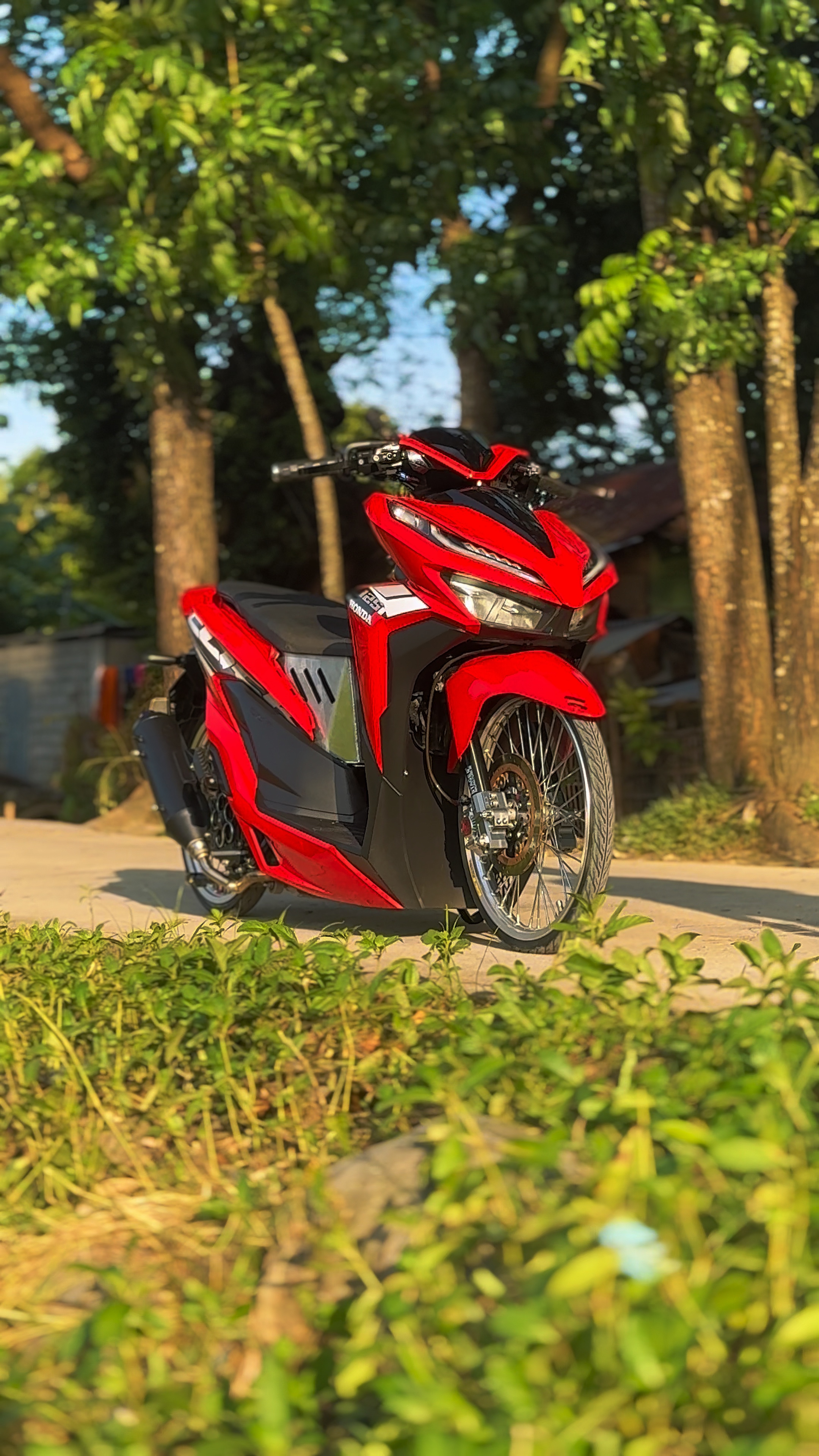 Cover Picture