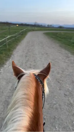 Sunset Rides>>🫶🏼
