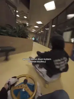 bizdirr