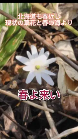 春近し,春よ来いカバー曲です