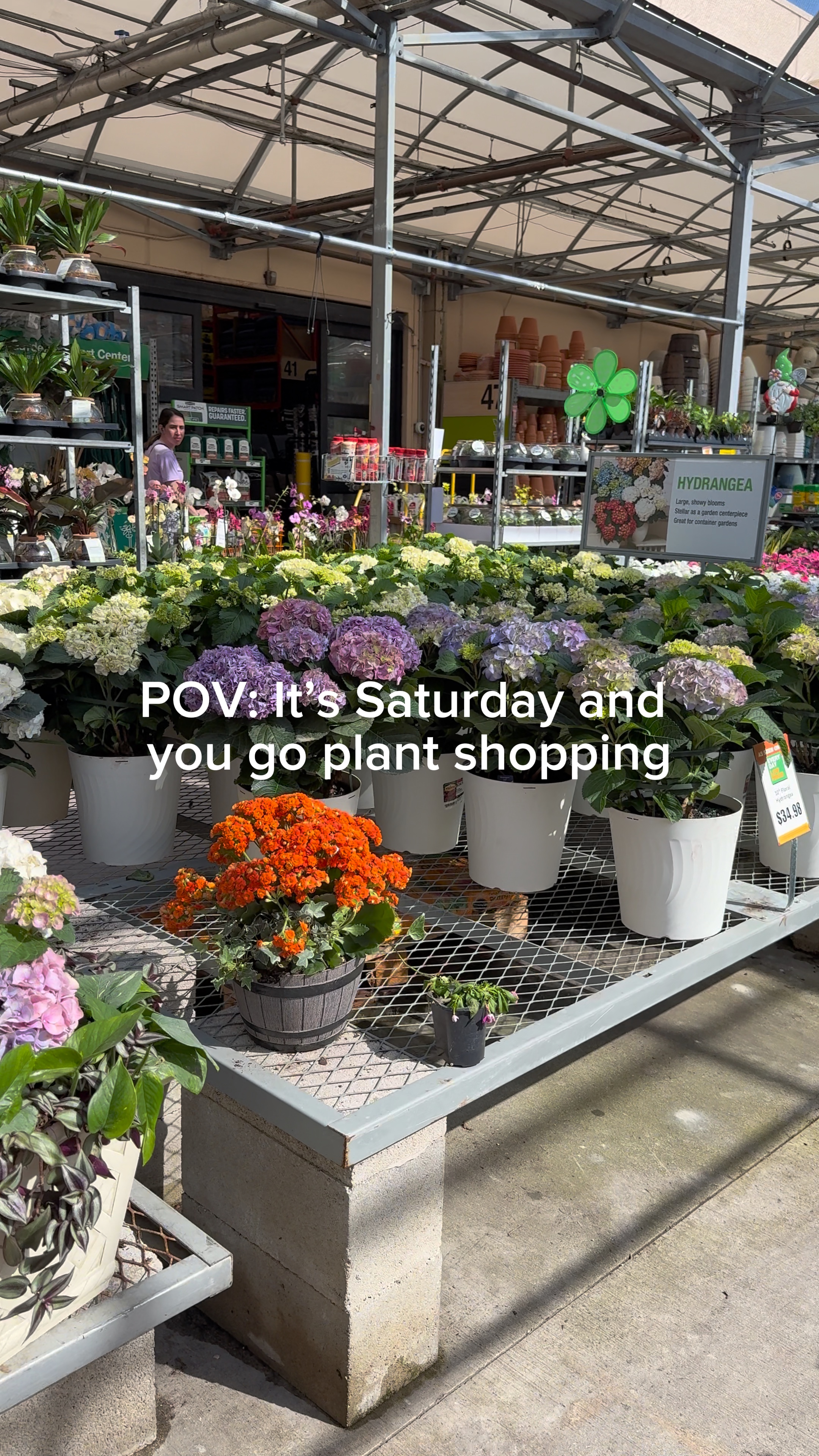Plant shopping 