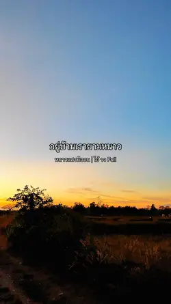 หนาวแสงนีออน