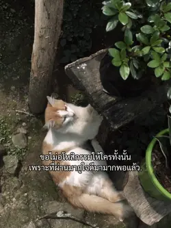 ขอไม่อโหสิกรรมใคร