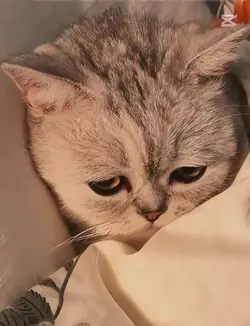 nie pozbędziecie smn